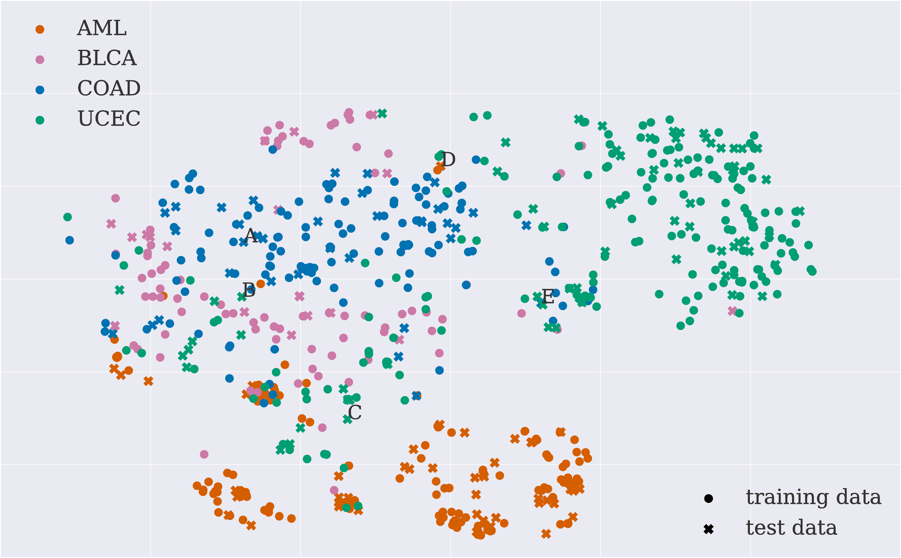 tsne_0.png