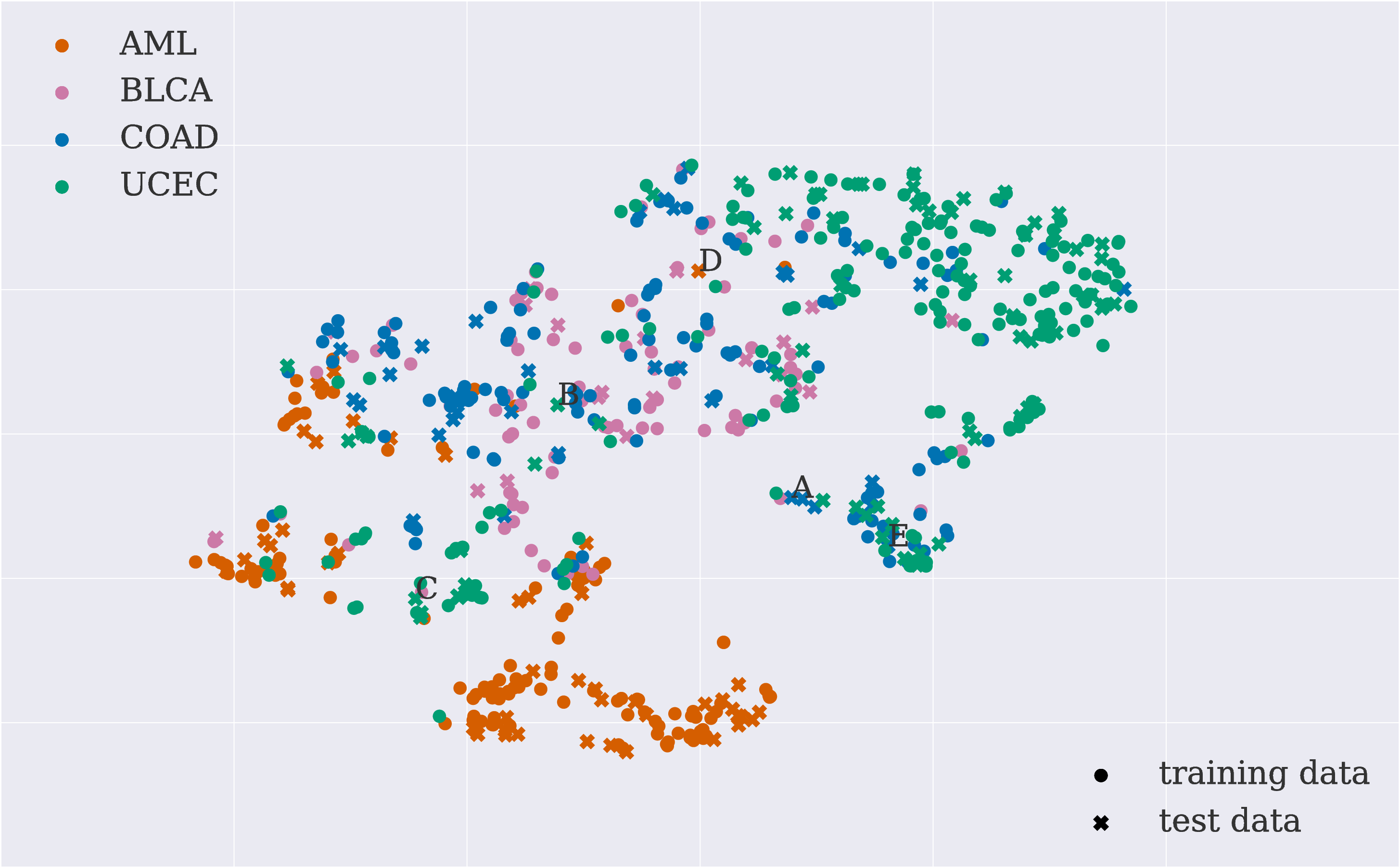 tsne_1.png